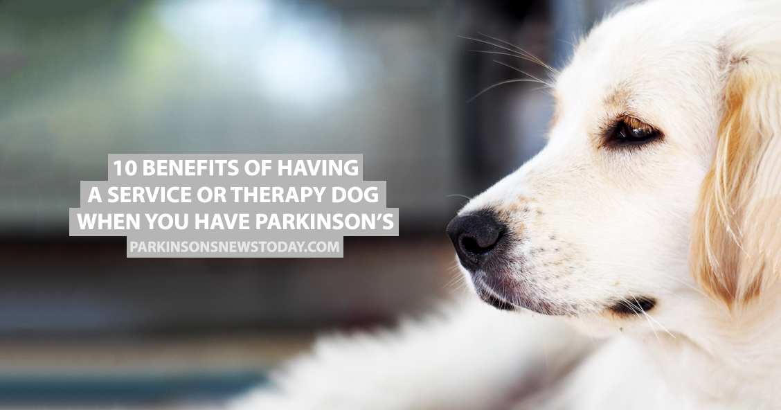 10 Benefits of Having a Service or Therapy Dog When You Have Parkinson ...