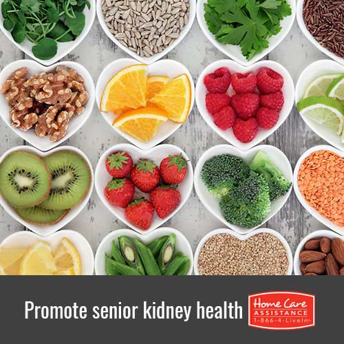 4 Ways to Promote Kidney Health in Senior