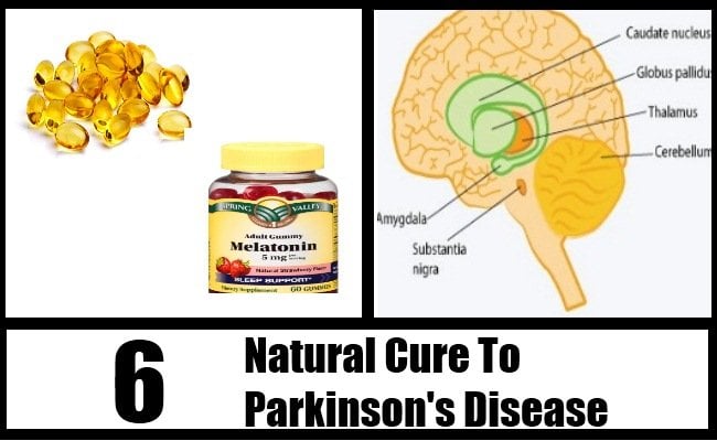 6 Natural Cure for Parkinson