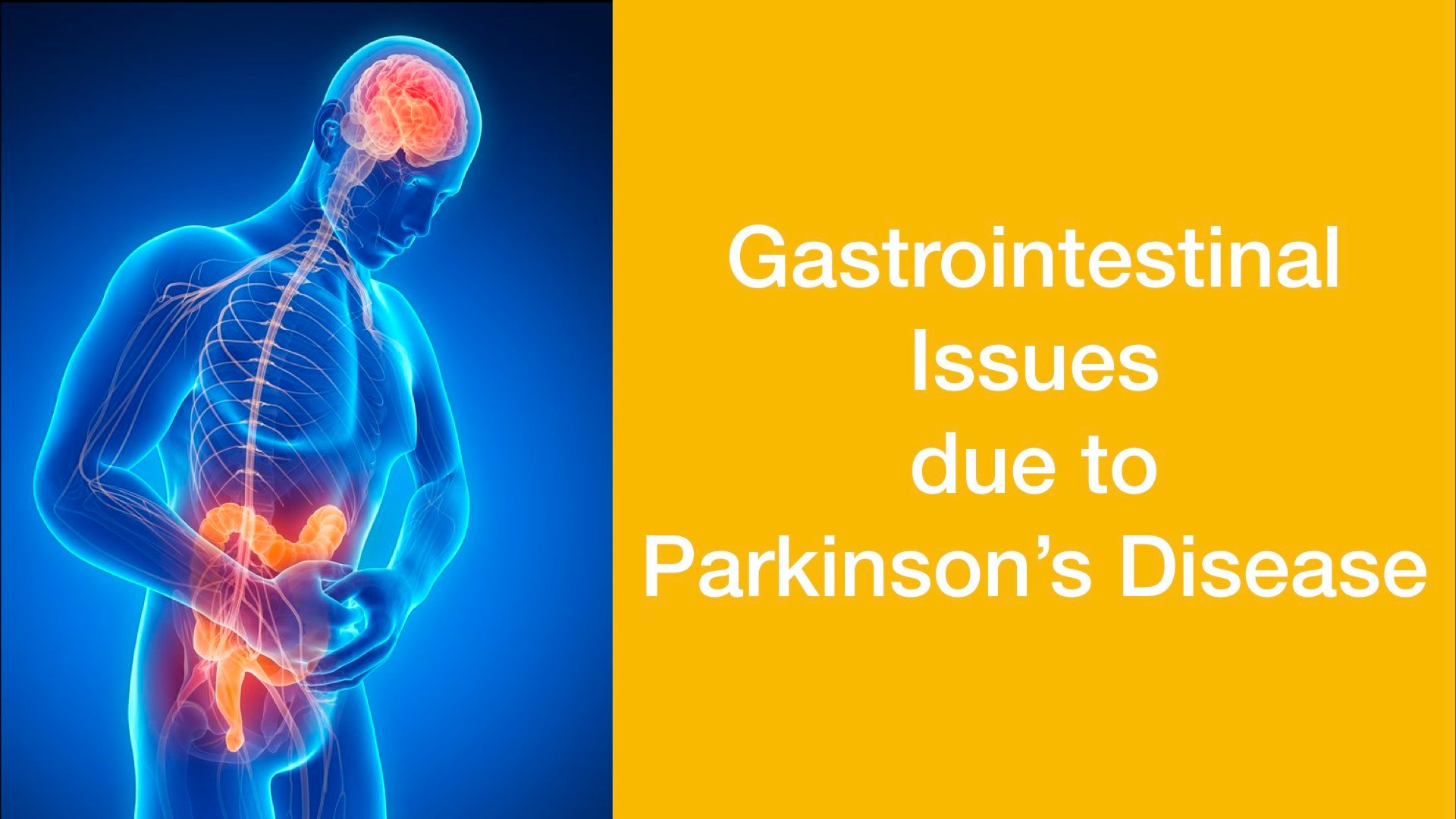 A Sneak Peak into Gastrointestinal (GUT) Conundrum of Parkinson Disease ...