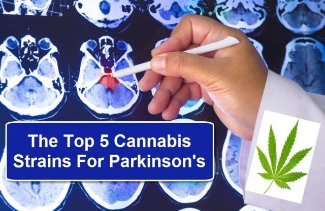 Cannabis for Parkinsons Illness has a Breakthrough, but A ...