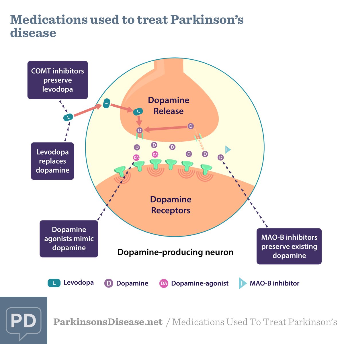 Dopamine Side Effects Parkinson