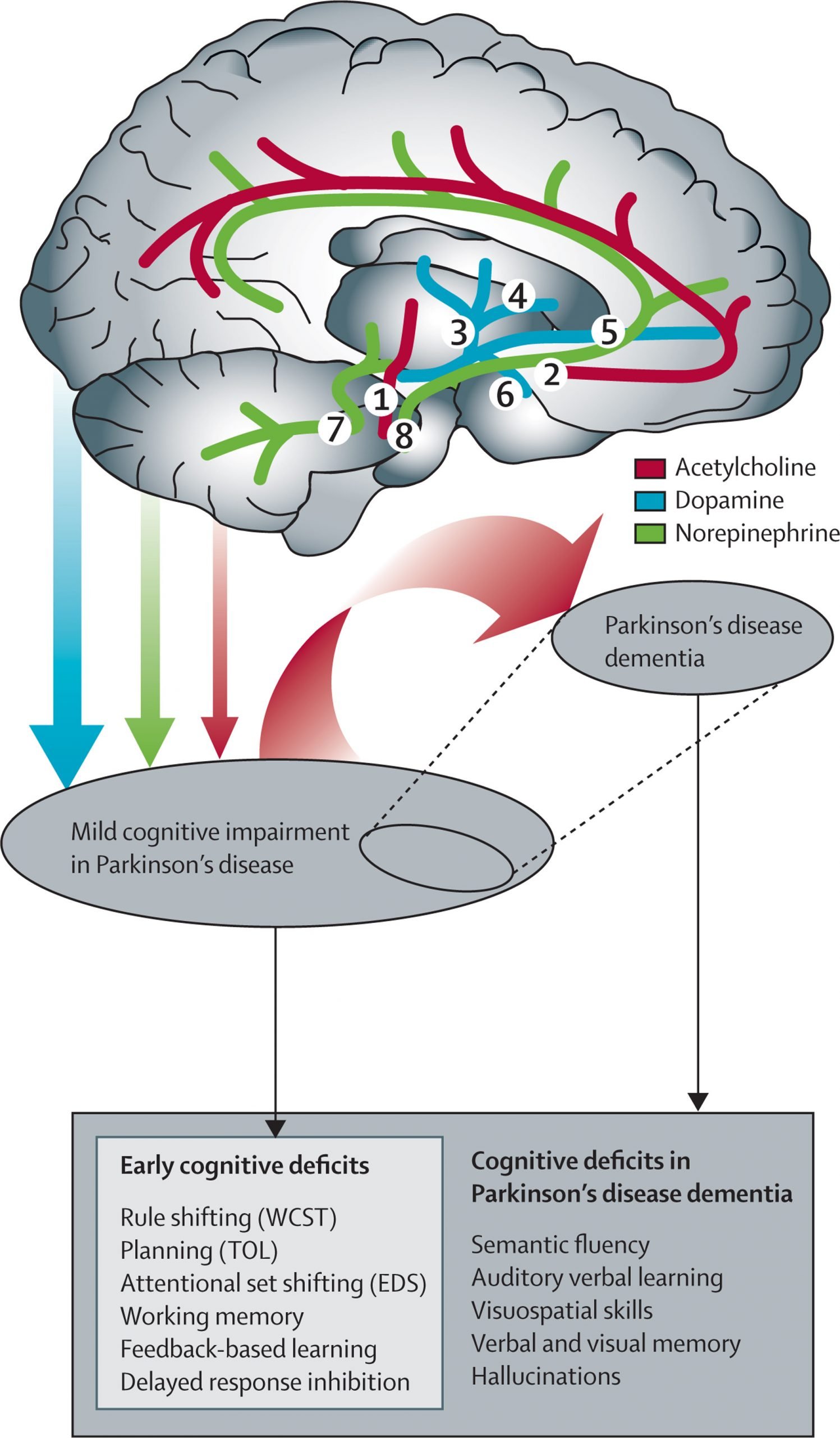 Neuropsychological and clinical heterogeneity of cognitive impairment ...