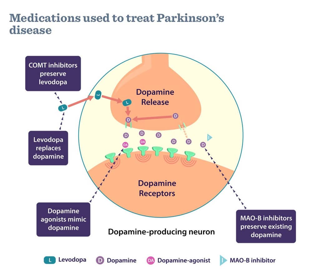 Parkinsonâs disease, treatments and symptoms.