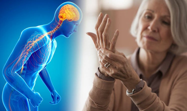 Parkinsonâs symptoms: Four main signs of the disease to ...