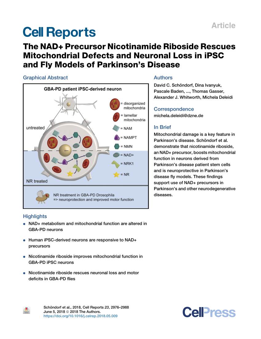 (PDF) The NAD+ Precursor Nicotinamide Riboside Rescues Mitochondrial ...
