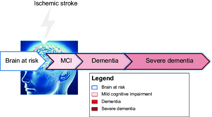 vCi spectrum and dementia. Abbreviations: vCi, vascular ...