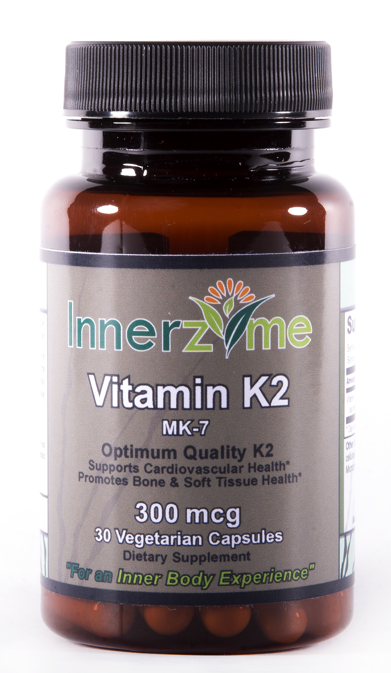Vitamin K2 and Parkinson